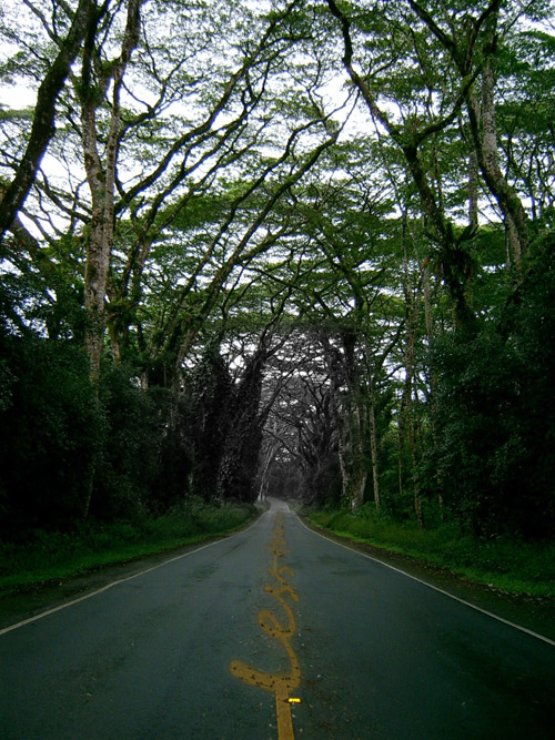 Photoshop Design by benny08 for DesignCrowd (Community Contests) | Design #8985011