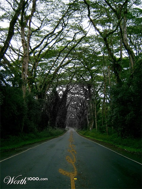 Photoshop Design by benny08