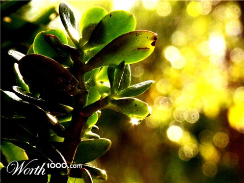 Photography by marssaf