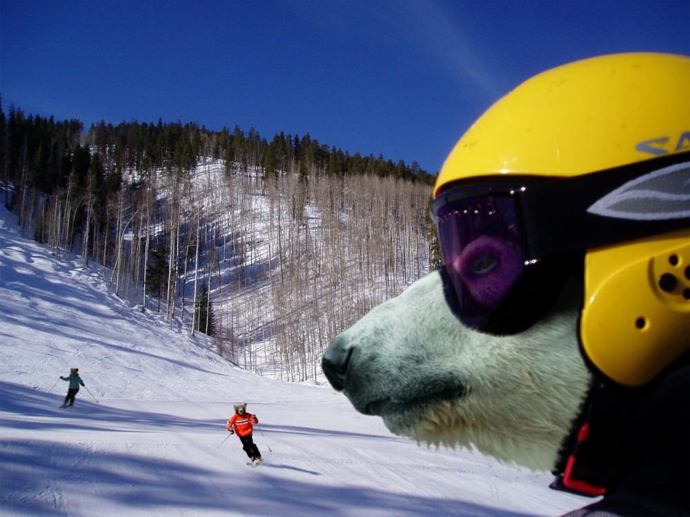 Photoshop Design by doehlman for DesignCrowd (Community Contests) | Design #8980510