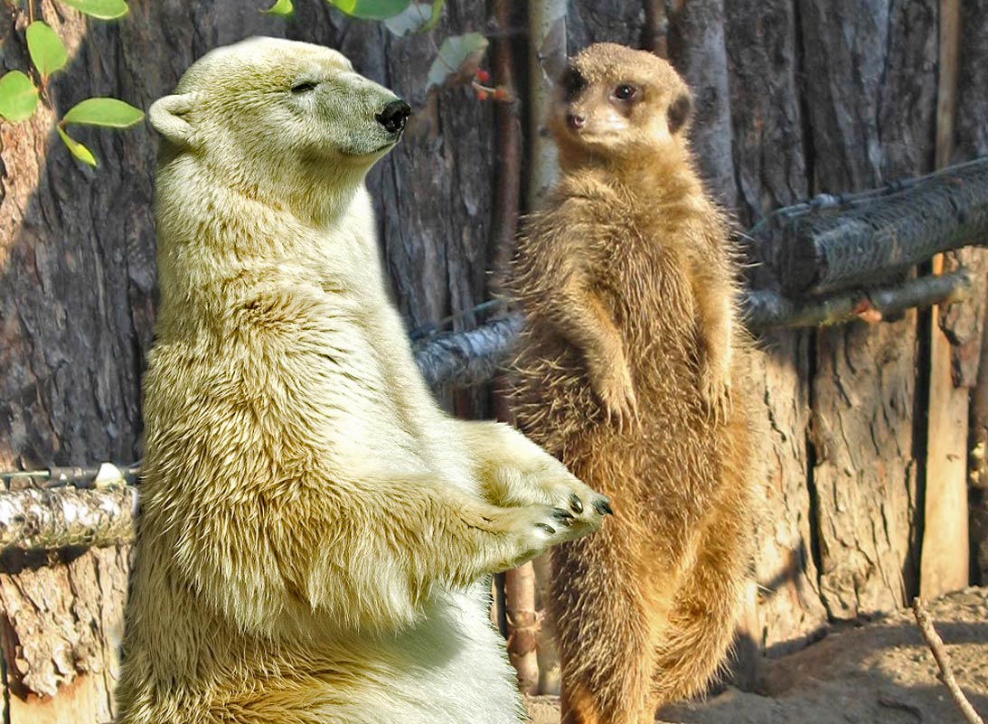 Diseño de Photoshop por underworth para DesignCrowd (Community Contests) | Diseño #8980493