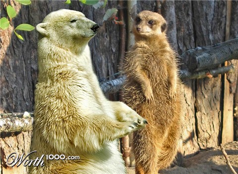 Photoshop Design by underworth