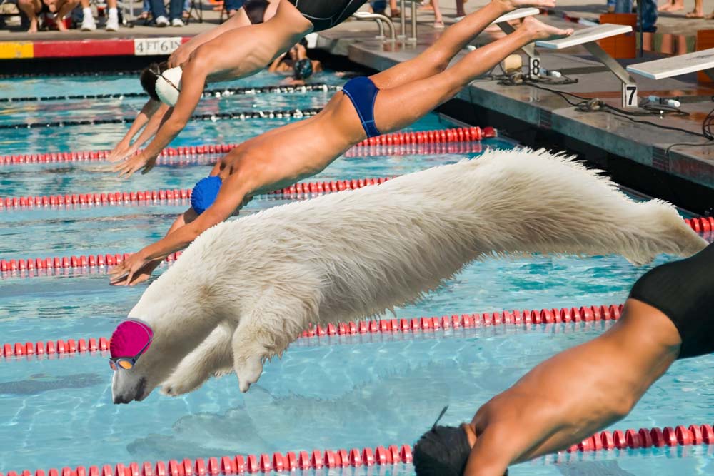 Photoshop-Design von Lsgenie für DesignCrowd (Community Contests) | Design #8980530