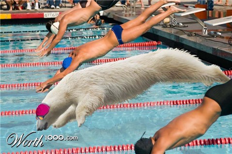 Photoshop Design by Lsgenie