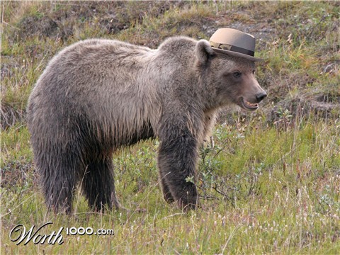 Photoshop Design by PappaKitty