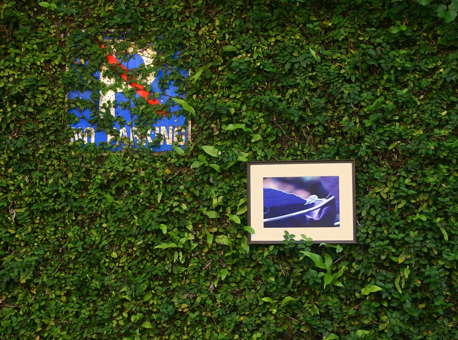 Fotografie von JillianRed für DesignCrowd (Community Contests) | Design #8983386