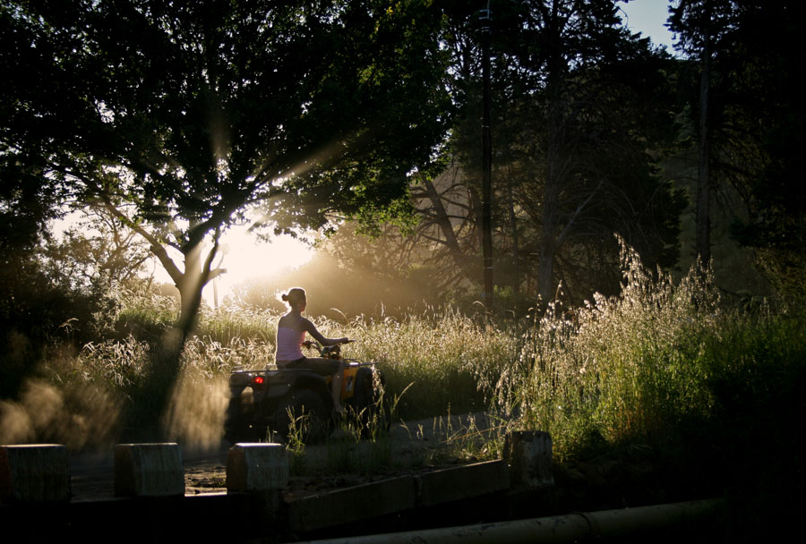 Fotografía por CraigMc para DesignCrowd (Community Contests) | Diseño #8984766