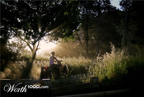 Photography by CraigMc