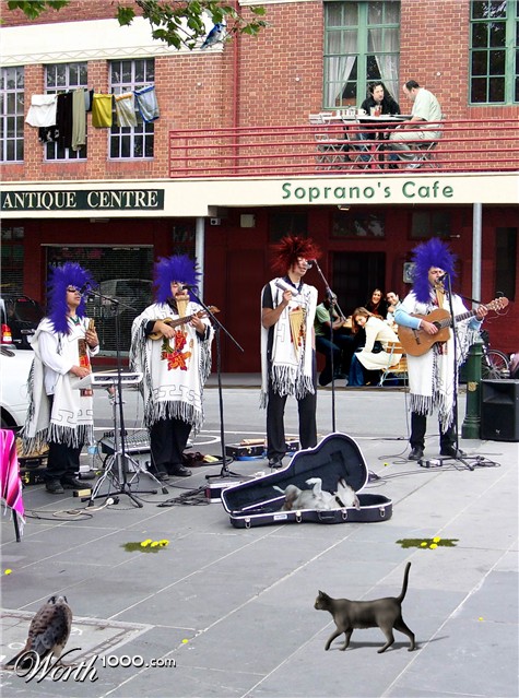 Photoshop Design by mroberts