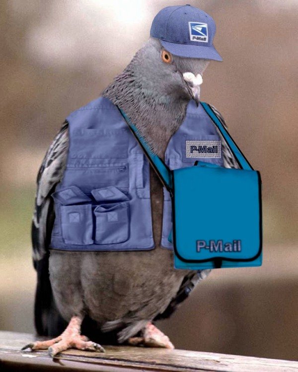 Photoshop Design by LadyHawk771 for DesignCrowd (Community Contests) | Design #8984412