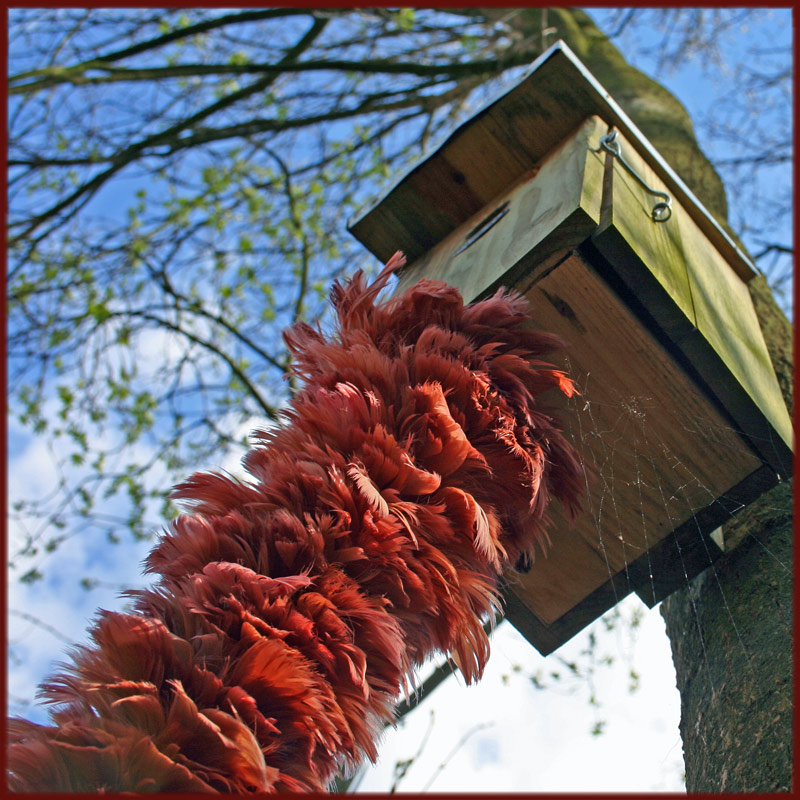 Photographie par charizz pour DesignCrowd (Community Contests) | Design #8983425