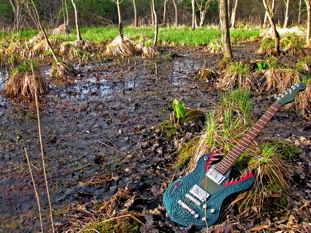 Photography by vramos11 for DesignCrowd (Community Contests) | Design #8983498