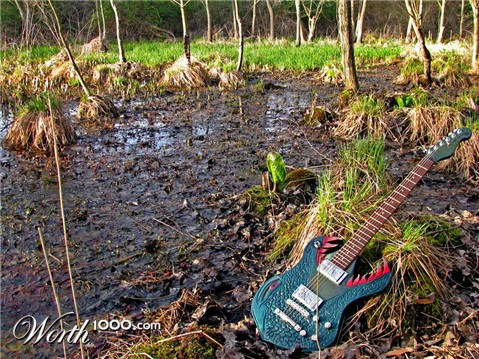 Photography by vramos11