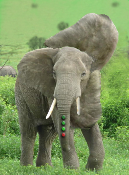 Photoshop Design by Mushon for DesignCrowd (Community Contests) | Design #8984445