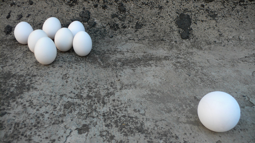 Photography by sausirhi for DesignCrowd (Community Contests) | Design #8983439