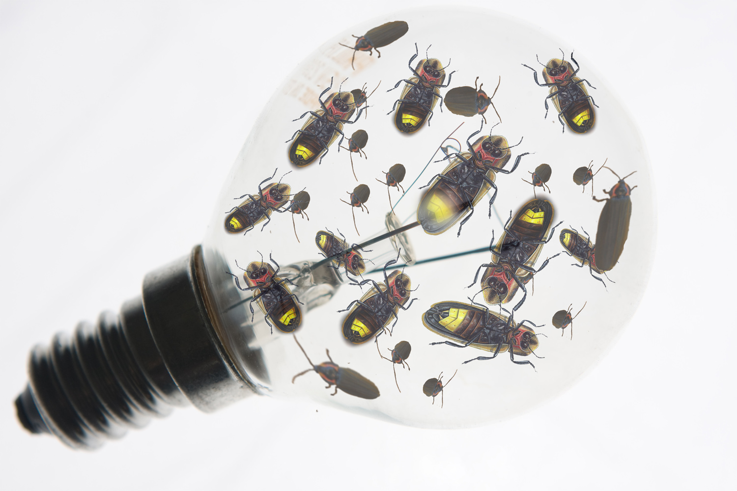 Diseño de Photoshop por jaysin777 para DesignCrowd (Community Contests) | Diseño #8984431