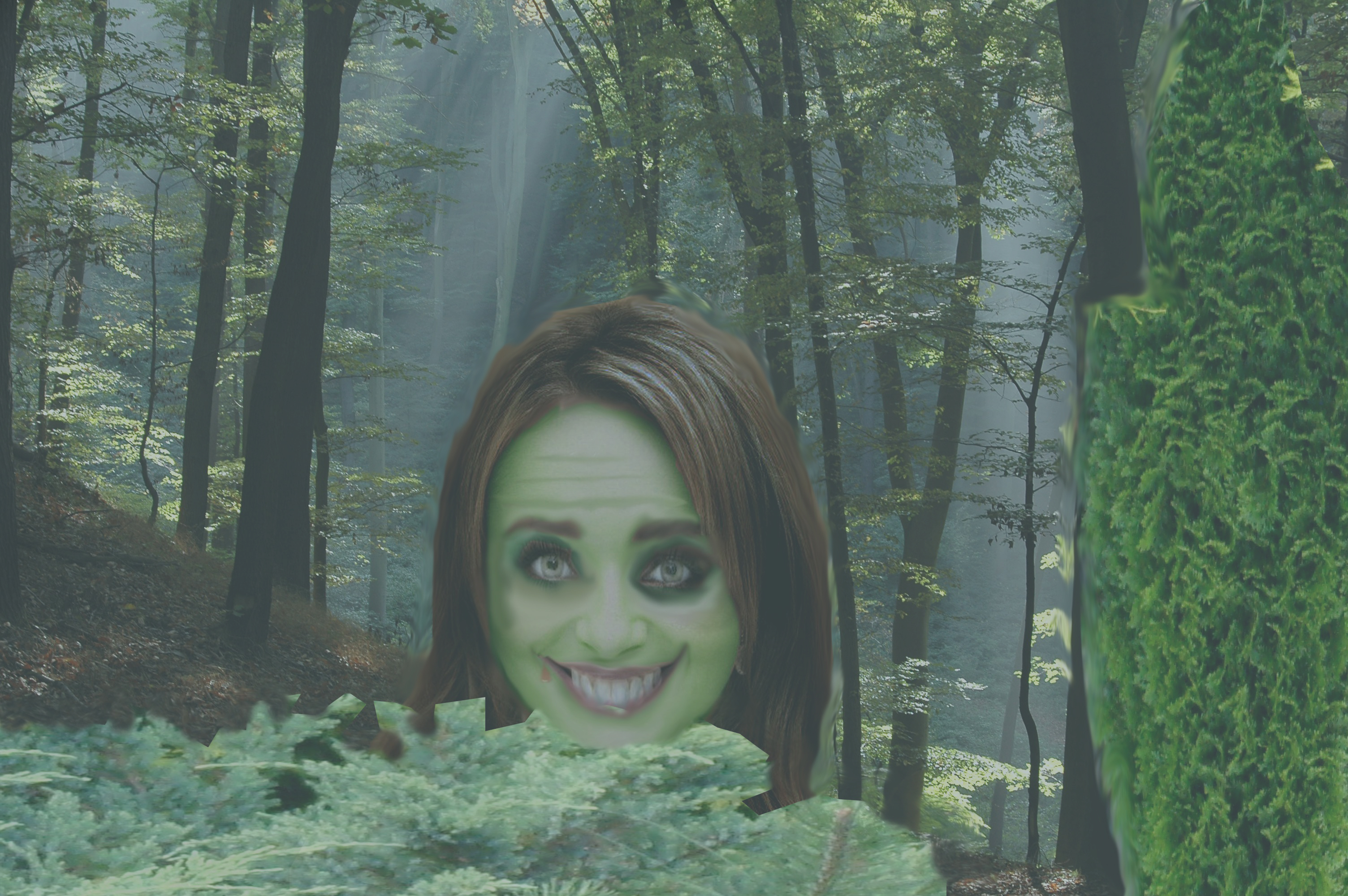 Photoshop Design by angelic85 for DesignCrowd (Community Contests) | Design #8983032