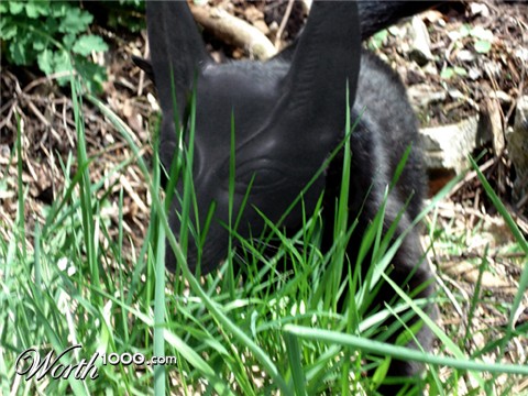 Photoshop Design by Snowcrash