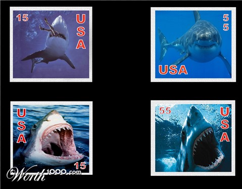 Photoshop Design by WorthyNick