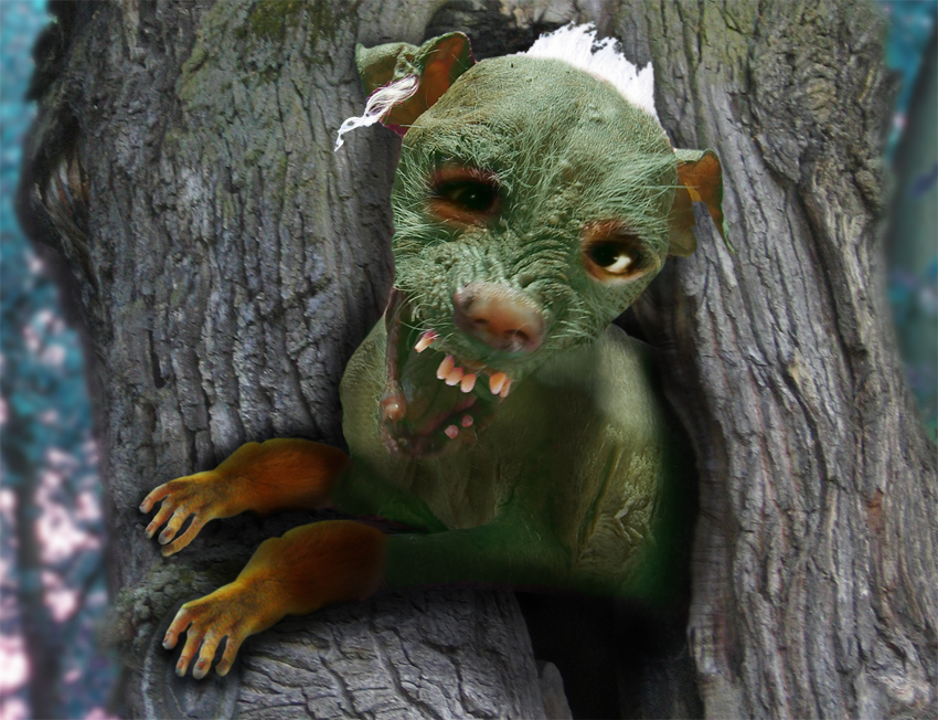 Photoshop Design by lucimine for DesignCrowd (Community Contests) | Design #8983286