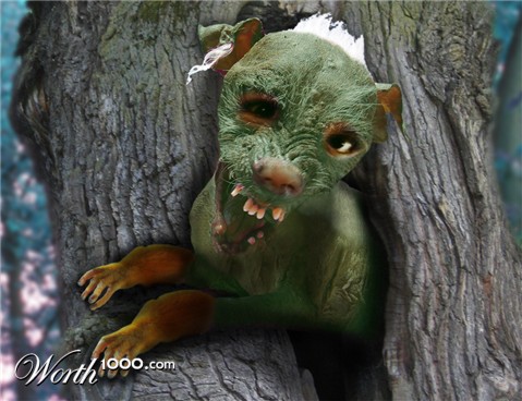 Photoshop Design by lucimine