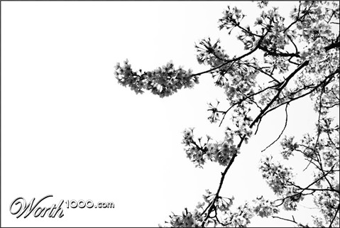 Photography by lticew