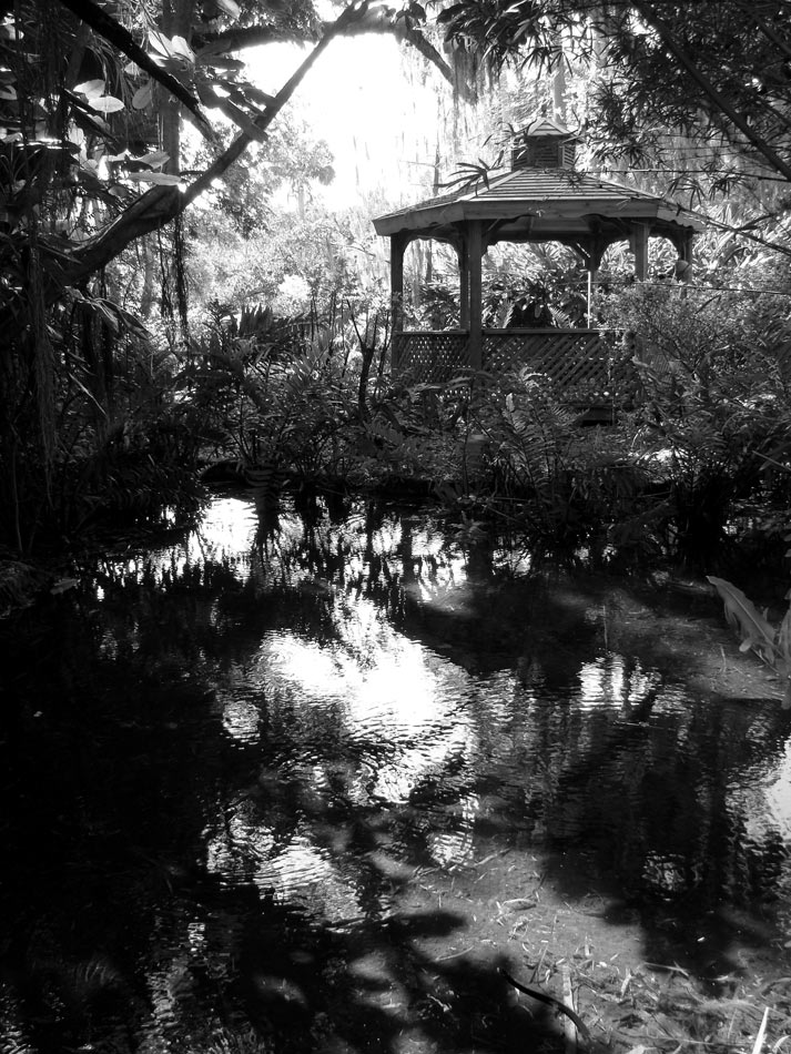 Photography by SallySmyth for DesignCrowd (Community Contests) | Design #8984988