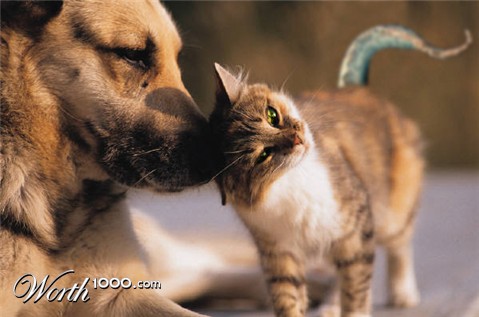 Photoshop Design by OzBoy86