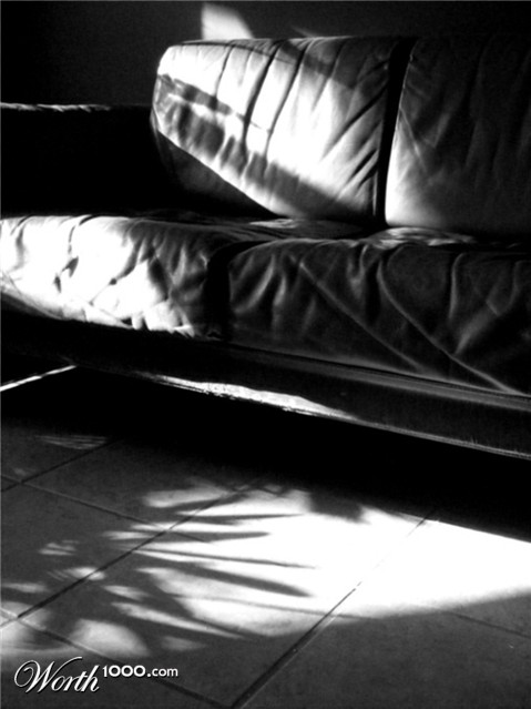 Photography by shoz95