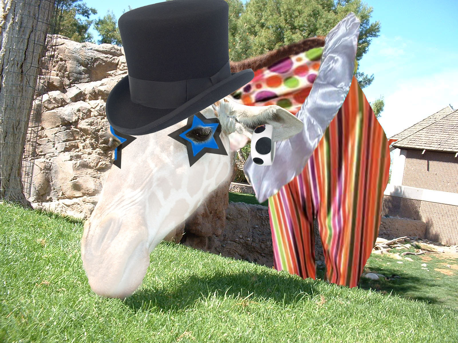 Diseño de Photoshop por eleena07 para DesignCrowd (Community Contests) | Diseño #8985361