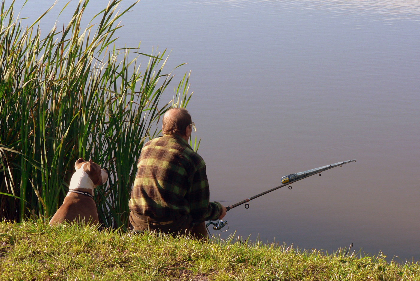 Photoshop Design by WISSONET for DesignCrowd (Community Contests) | Design #8985699