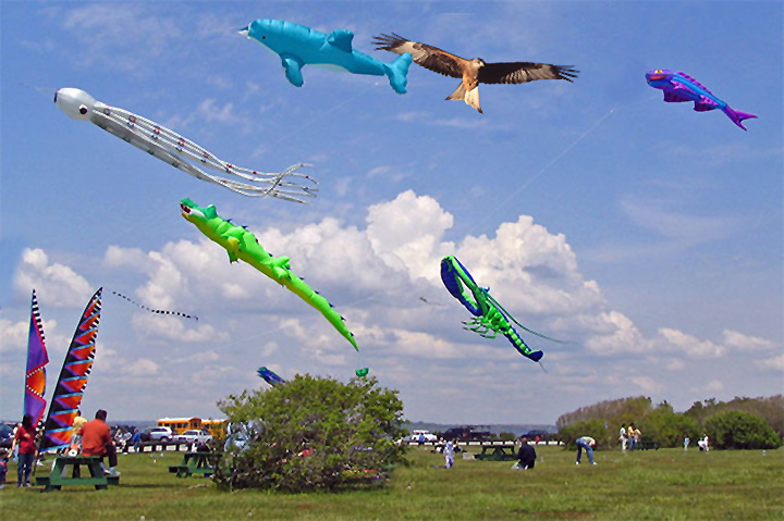 Photoshop Design by PsychoKittn for DesignCrowd (Community Contests) | Design #8985926