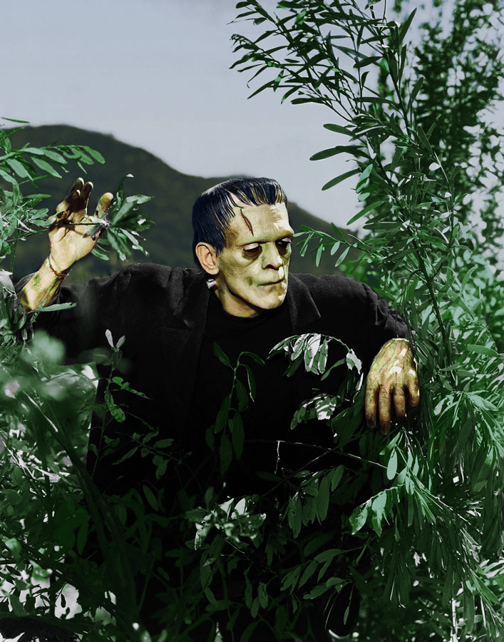 Photoshop Design by robotlick for DesignCrowd (Community Contests) | Design #8981341