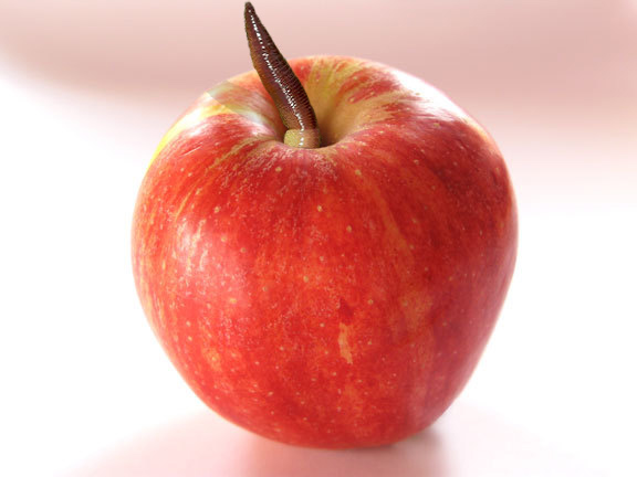 Photoshop-Design von Angelicangellover für DesignCrowd (Community Contests) | Design #8986069