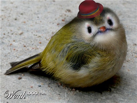 Photoshop Design by artisticgrl09