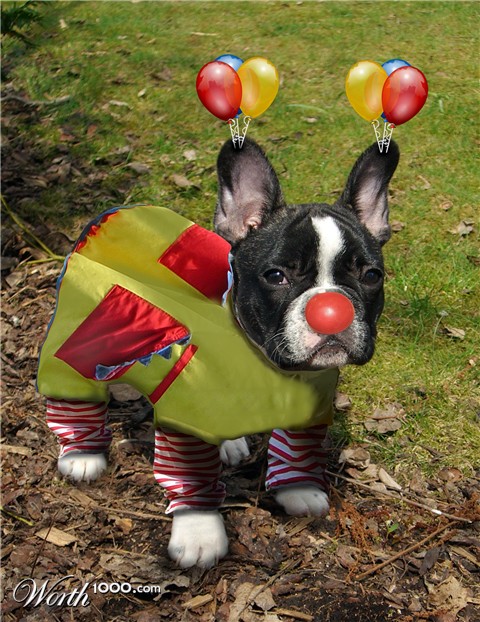 Photoshop Design by lucimine