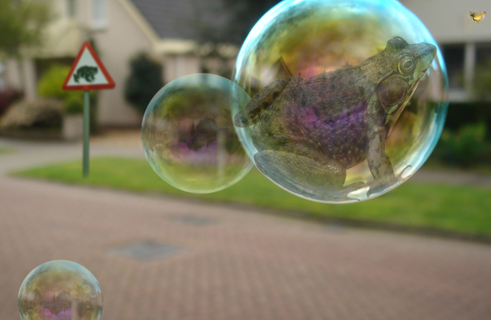 Diseño de Photoshop por shazzcat para DesignCrowd (Community Contests) | Diseño #8985970