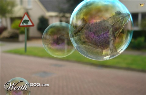 Photoshop Design by shazzcat