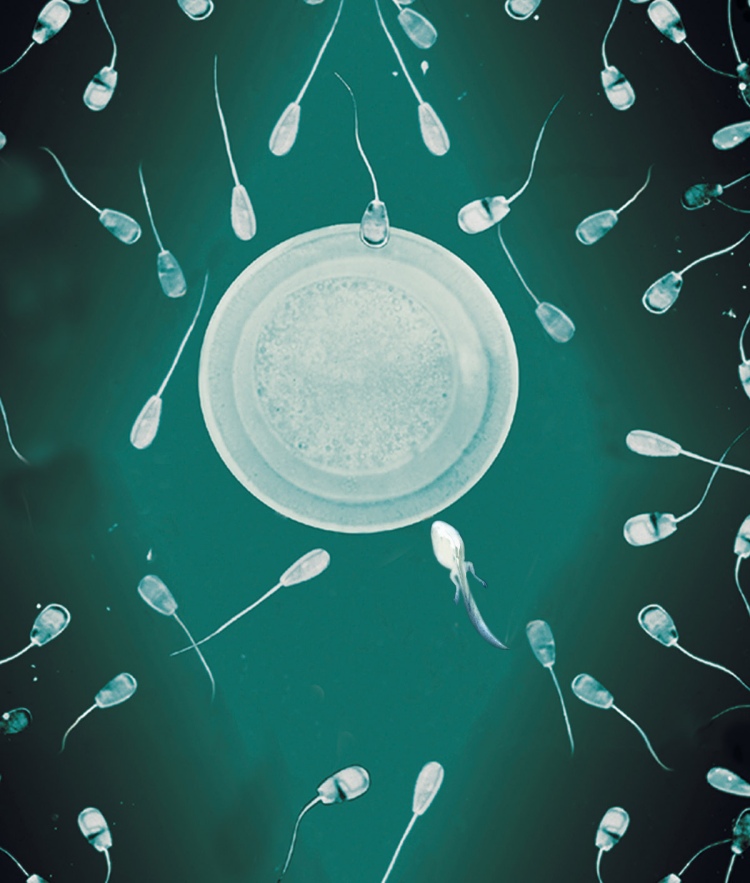 Photoshop Design by jdbeckers for DesignCrowd (Community Contests) | Design #8985943