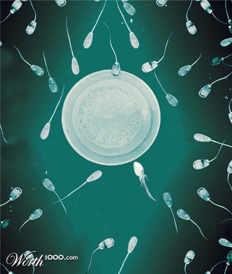 Photoshop Design by jdbeckers