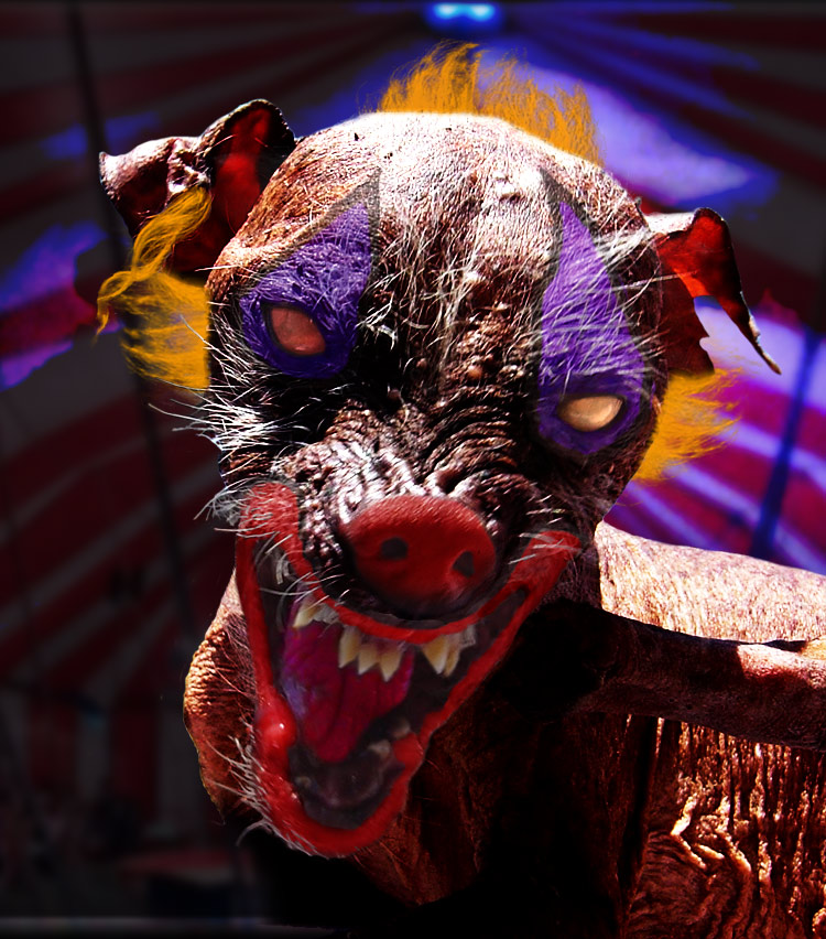 Diseño de Photoshop por DreaddyO para DesignCrowd (Community Contests) | Diseño #8985439