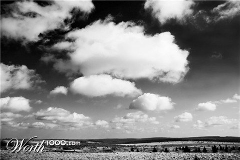 Photography by sanderleeuw