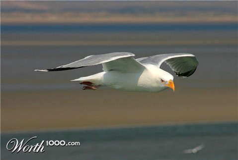 Photoshop Design by underworth