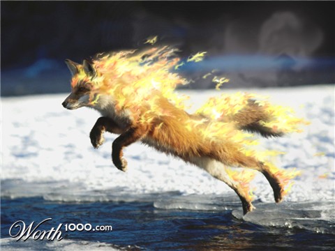 Photoshop Design by carlosnumbertwo