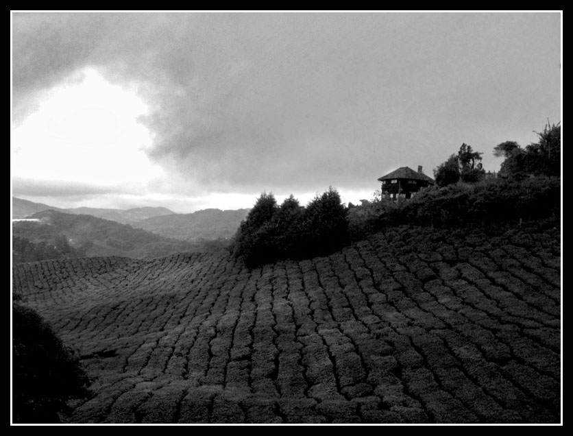 Photography by cloverleafz for DesignCrowd (Community Contests) | Design #8985976