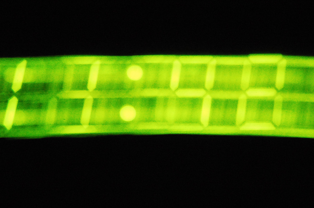 Photographie par Leasider pour DesignCrowd (Community Contests) | Design #8983777