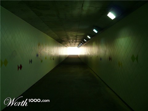 Photography by lticew