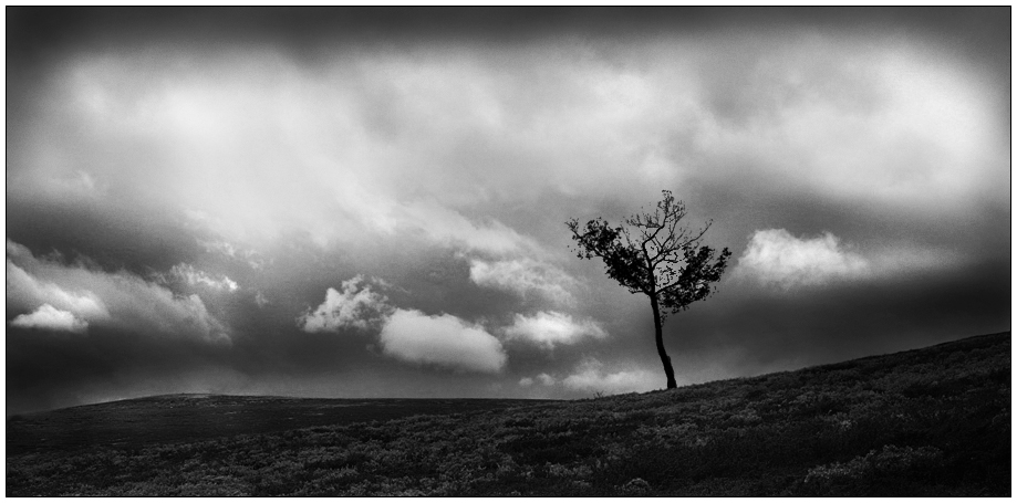 Photography by superlasten for DesignCrowd (Community Contests) | Design #8986025