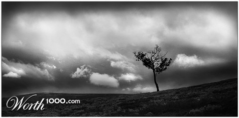 Photography by superlasten