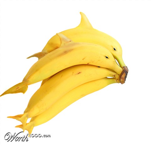 Photoshop Design by Mushon